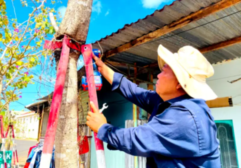 Gia Lai: Tháo dỡ 170 cùm sắt chống đổ trên cây hoa ban sau phản ánh báo chí