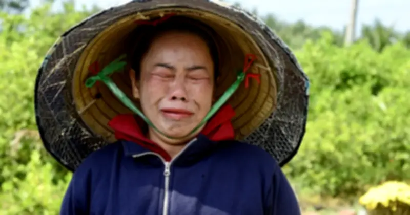 Gia đình 3 đời trồng hoa Tết ở Đồng Tháp lỗ 200 triệu, phải bán đất hương hỏa trả nợ