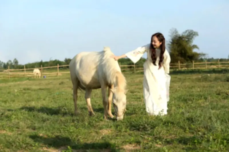 Gia đình Quảng Ngãi gần 20 năm gìn giữ nghề nuôi ngựa như mạch ngầm văn hóa