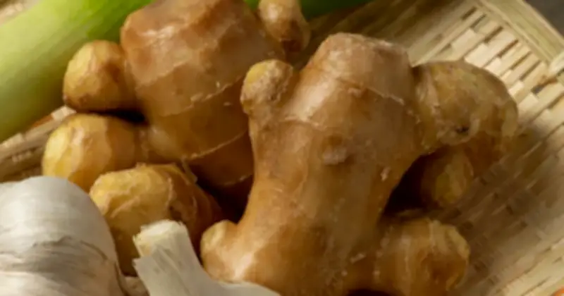 Gia vị quen thuộc: Không chỉ tạo hương vị mà còn chứa đựng lợi ích sức khỏe đáng kể