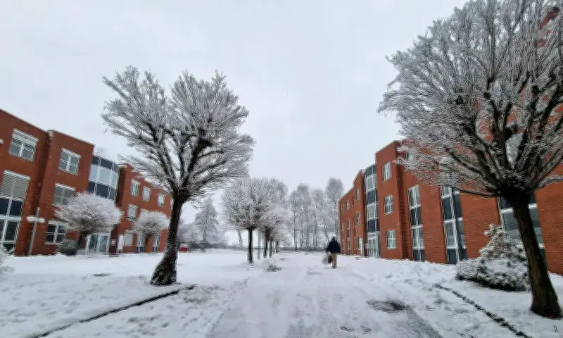 Giao thừa lạnh lẽo của du học sinh Việt tại Đức: Nhớ nhà giữa tuyết trắng