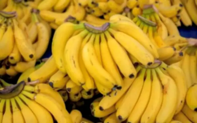 Giải Cứu Chuối Chín Sau Tết: Biến Chuối Thừa Thành Những Món Ngon Hấp Dẫn