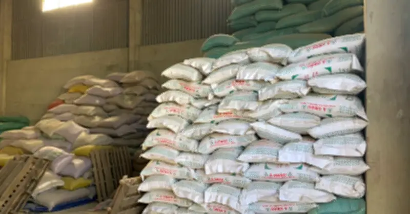 Giám đốc cầm đầu đường dây sản xuất 200 tấn lúa giống giả: Những điều chưa biết