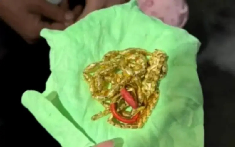 Cô gái vứt nhầm vàng 373 triệu đồng khi dọn nhà đón Tết, cảnh sát tìm lại được