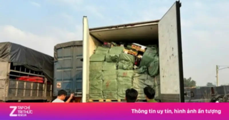 Gần 29 tấn thực phẩm đông lạnh 'vô chủ' bị phát hiện trên đường vào TP.HCM