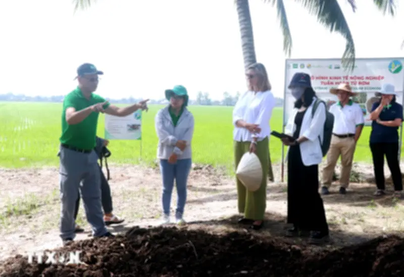 Gắn hỗ trợ phát triển với mở rộng hợp tác thương mại Canada - Việt Nam