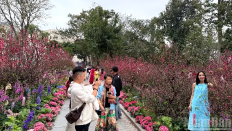 Hồ Hoàn Kiếm ngập tràn sắc xuân, du khách nườm nượp check-in dịp Tết