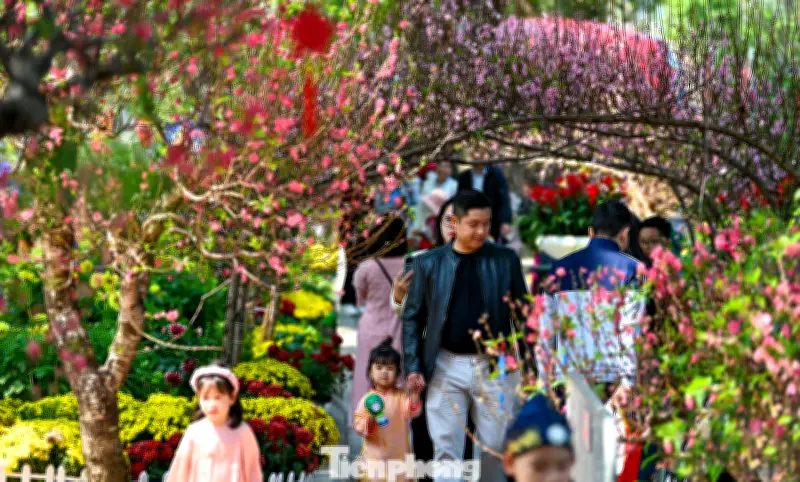 Hồ Hoàn Kiếm nhộn nhịp ngày mùng 4 Tết với hàng trăm gốc đào cổ thụ thu hút đám đông