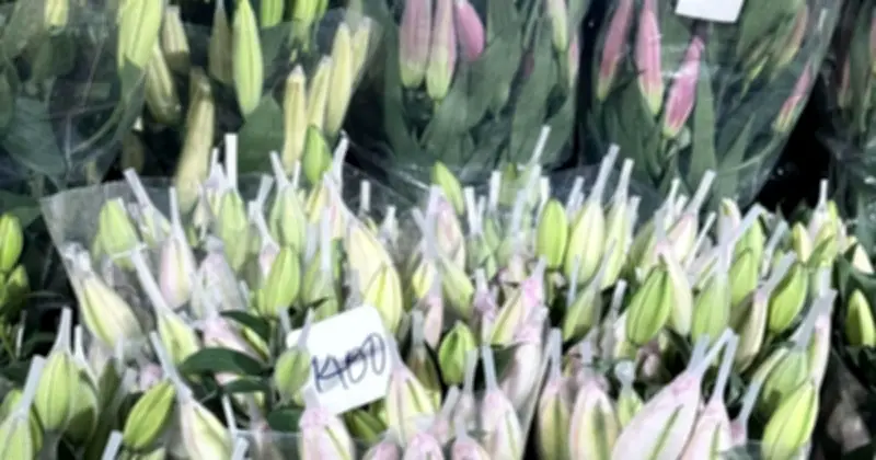 Hà Nội: Hoa ly kép 'cháy hàng' dù giá tăng gấp 3 lần ngày thường dịp cận Tết