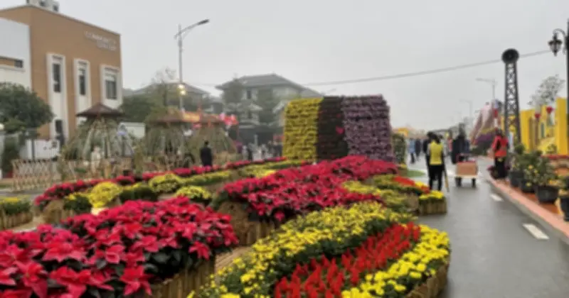 Hà Nội Khai Mở Đường Hoa Tết Đầu Tiên Trong Di Sản Thế Giới Hoàng Thành Thăng Long