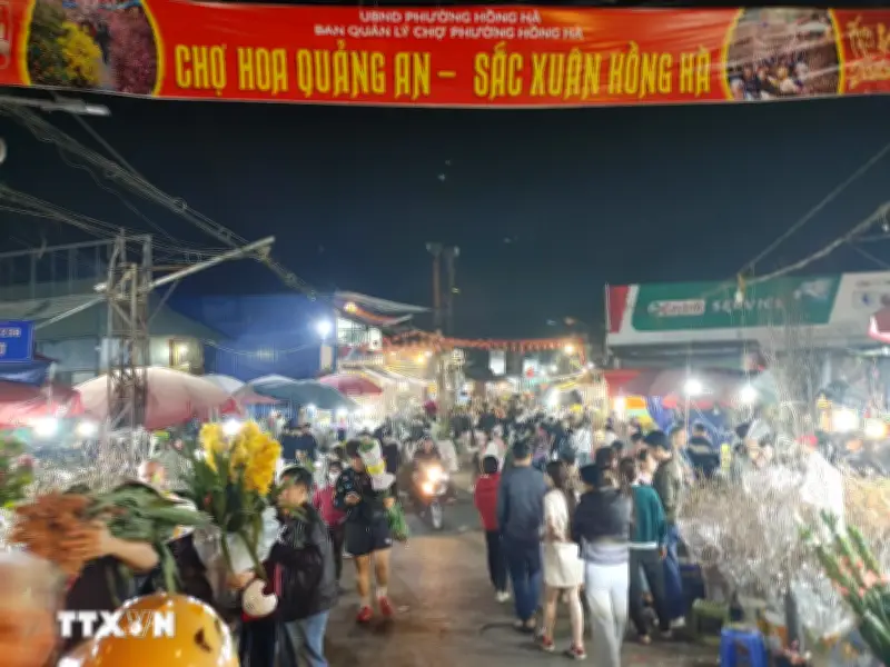Hà Nội: Đêm không ngủ tại chợ hoa Tết Quảng An, nhộn nhịp sắc xuân