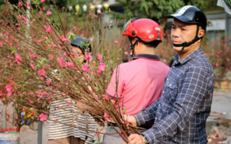 Hà Nội nhộn nhịp chợ hoa Tết, người dân đổ về mua cây cảnh giá rẻ ngày 28 tháng Chạp