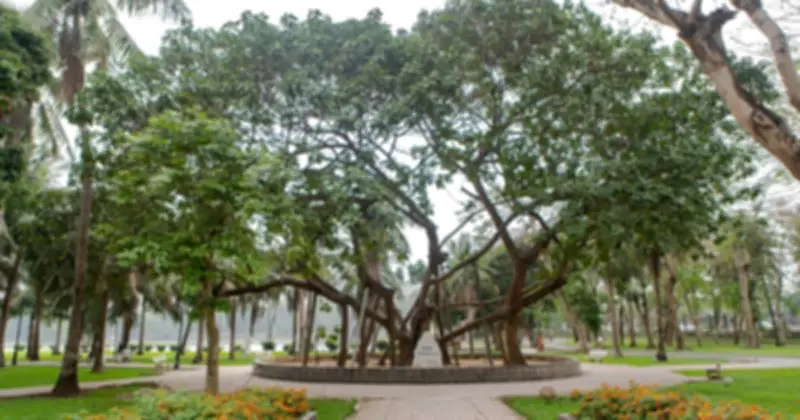 Hà Nội đề xuất xây thêm 25 công viên chuyên đề với tổng đầu tư hơn 87.600 tỉ đồng