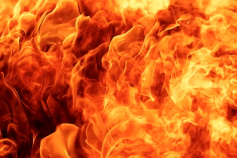 Hỏa Hoạn Thảm Khốc Tại Chiba: 3 Người Thiệt Mạng, 2 Người Được Cứu Sống