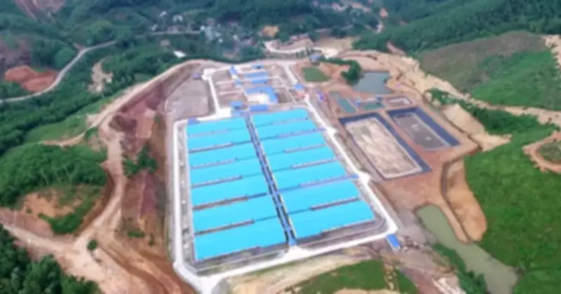 Hòa Phát Ghi Nhận ROE 83% Từ Mảng Chăn Nuôi Heo Nhờ Sản Lượng Tăng Và Giá Bán Cao