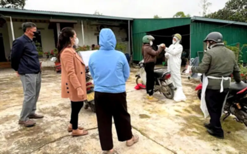 Hà Tĩnh tiêu hủy hơn 900 gia cầm nhiễm cúm H5N1, siết chặt kiểm soát dịch cận Tết