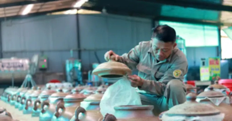 Nông dân Hà Tĩnh làm giàu nhờ trồng cây dưới tấm pin năng lượng mặt trời