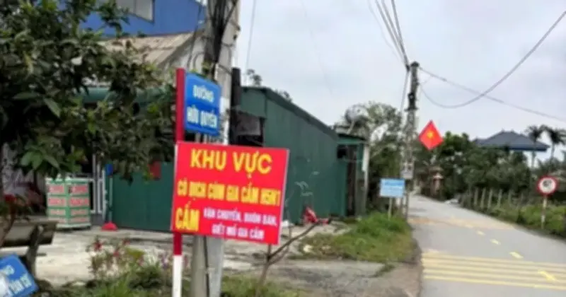 Hà Tĩnh: Bùng phát dịch cúm gia cầm H5N1, tiêu hủy hơn 900 con