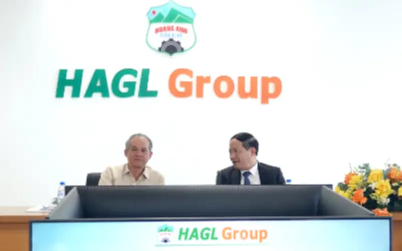 HAGL Ghi Dấu Ấn Lợi Nhuận Kỷ Lục, Hướng Tới Vị Thế Số Một Ngành Nông Nghiệp