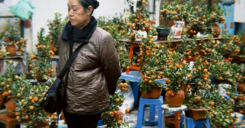 Chợ Hoa Hàng Lược 2026: Nét Trầm Lắng Và Xu Hướng 'Mini Hóa' Giữa Lòng Phố Cổ Hà Nội