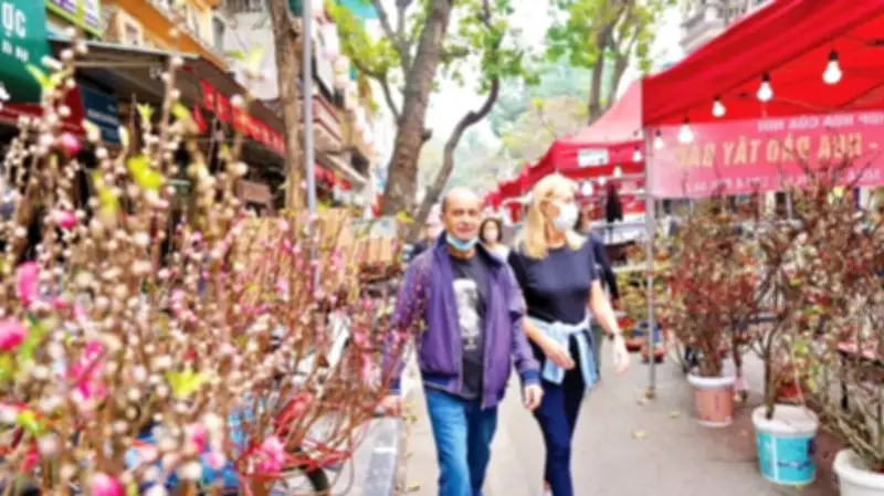 Chợ Hoa Hàng Lược: Phiên Chợ Ký Ức Và Sắc Xuân Truyền Thống Giữa Lòng Hà Nội