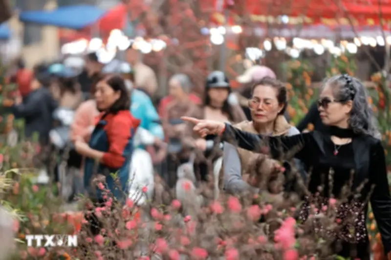 Chợ Hoa Hàng Lược Nhộn Nhịp Những Ngày Giáp Tết Bính Ngọ 2026