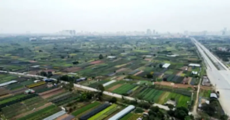 Hà Nội giao đất cho dự án khu công nghệ cao sinh học trị giá hơn 1 tỷ USD