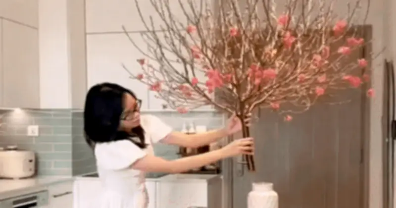 Vợ đảm Hà Nội chi tiêu Tết 21 triệu cho 3 gia đình: Đào 300k, tuyết mai 90k