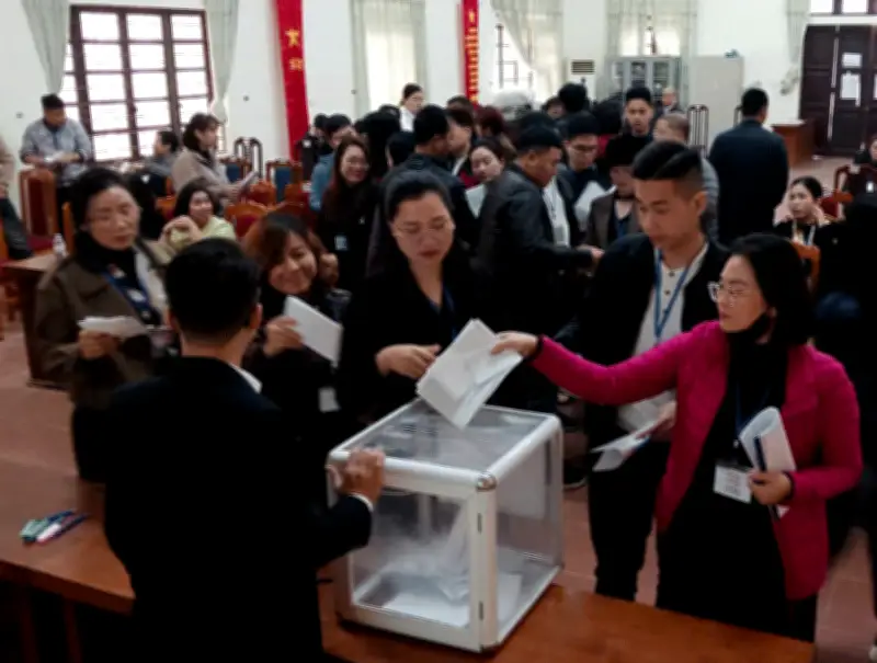 Hà Nội: Đấu giá đất Kiều Phú thành công, thu về hơn 145 tỷ đồng