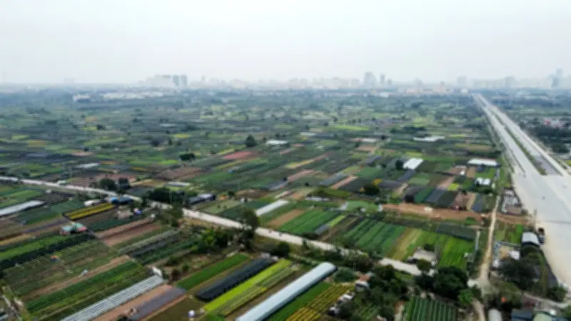 Hà Nội cho thuê hơn 10ha đất tại Thượng Cát để phát triển Khu công nghệ cao sinh học