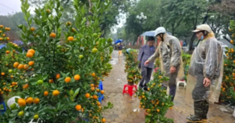 Hà Nội Cận Tết: Phố Xá Thông Thoáng, Chợ Hoa Vắng Vẻ Nhờ Kiểm Soát Chặt