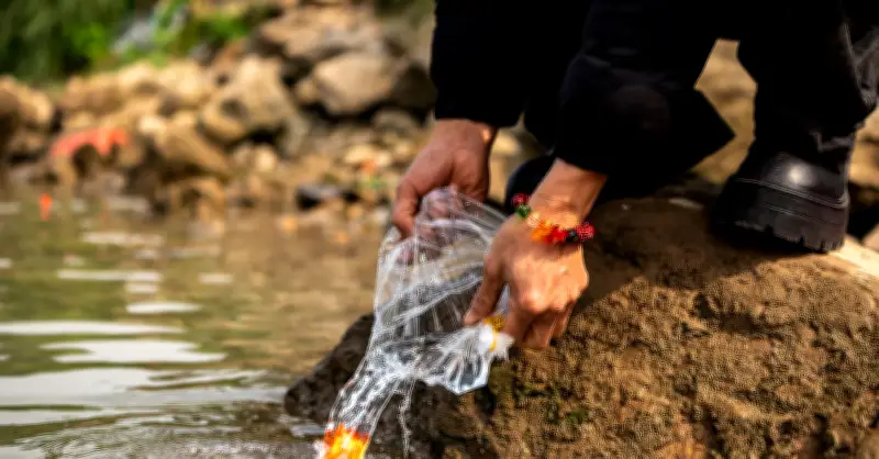 Người Hà Nội chi tiền triệu phóng sinh cá chép tiễn ông Công, ông Táo về trời