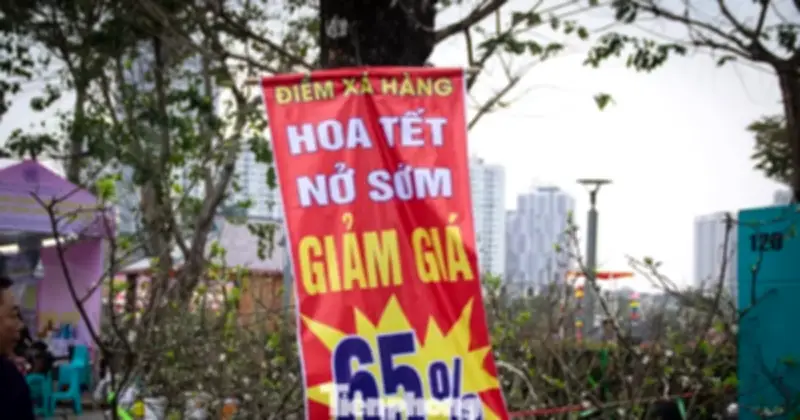Thị trường hoa Tết Hà Nội: Đào nở sớm, tiểu thương xả hàng gỡ vốn