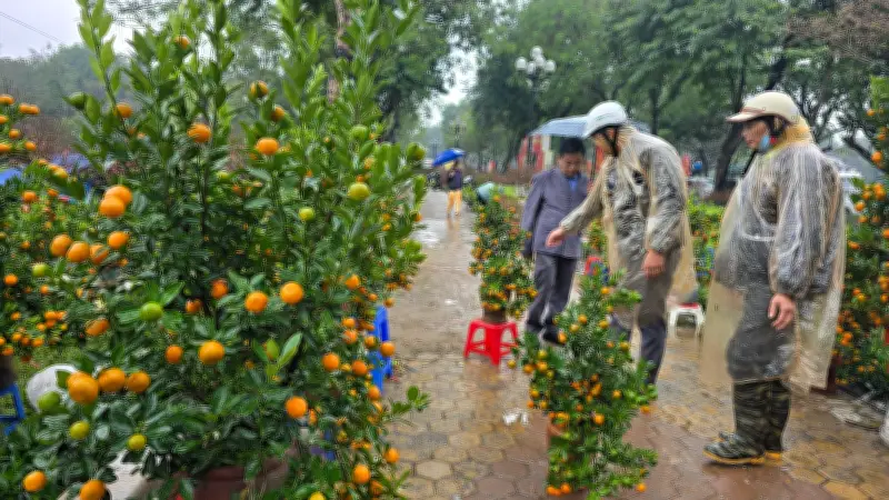 Hà Nội Ứng Dụng AI Kiểm Soát, Tình Trạng Lấn Chiếm Vỉa Hè Kinh Doanh Hoa Tết Giảm Mạnh