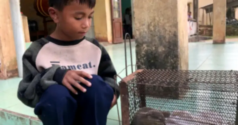 Học sinh Quảng Trị cứu rái cá quý hiếm, được kiểm lâm biểu dương