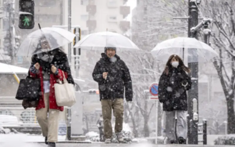 Tuyết rơi dữ dội tại Nhật Bản và Hàn Quốc: Hàng chục người thiệt mạng, giao thông tê liệt