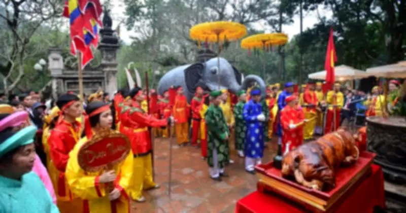 Heo hay lợn: Khám phá sự khác biệt vùng miền và văn hóa trong cách gọi tên