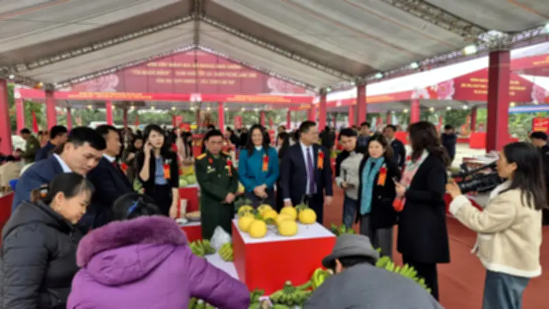 Hội Chợ Xuân Hà Nội 2026: Sôi Động Mua Sắm và Văn Hóa Tại Ba Địa Điểm