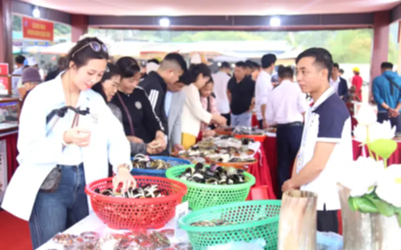 Hải Phòng Khai Mạc Tuần Văn Hóa Du Lịch, Thúc Đẩy Phát Triển Bền Vững Tại Côn Sơn - Kiếp Bạc