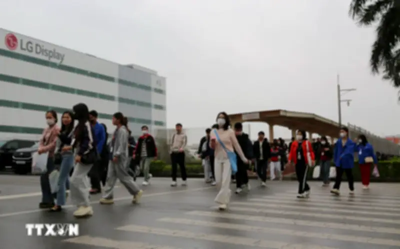 Hải Phòng: Nhiều doanh nghiệp có đơn hàng ổn định và tăng sau Tết