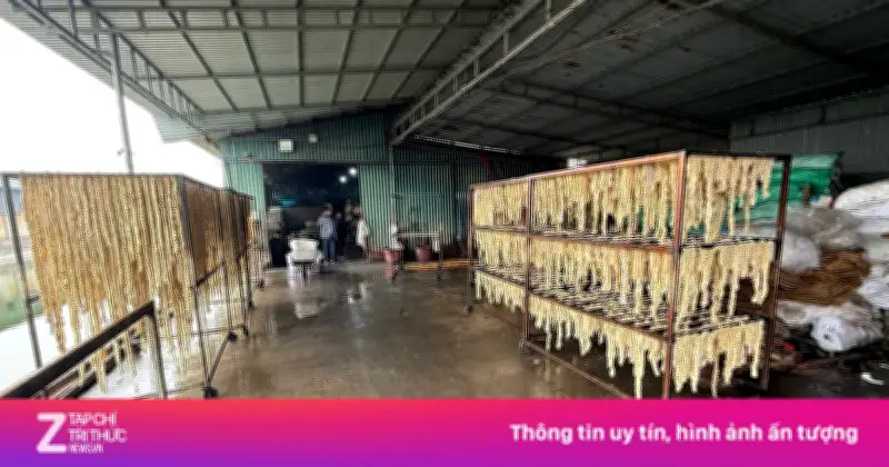 Hải Phòng phạt 226,5 triệu đồng, tiêu hủy 55,3 tấn nội tạng không rõ nguồn gốc