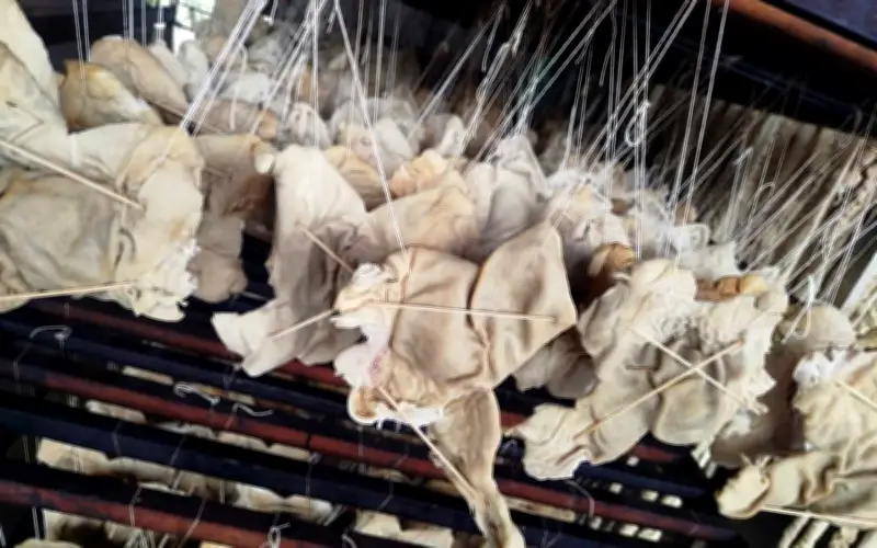 Hải Phòng xử phạt công ty Trường Huy 226,5 triệu đồng vì vi phạm an toàn thực phẩm