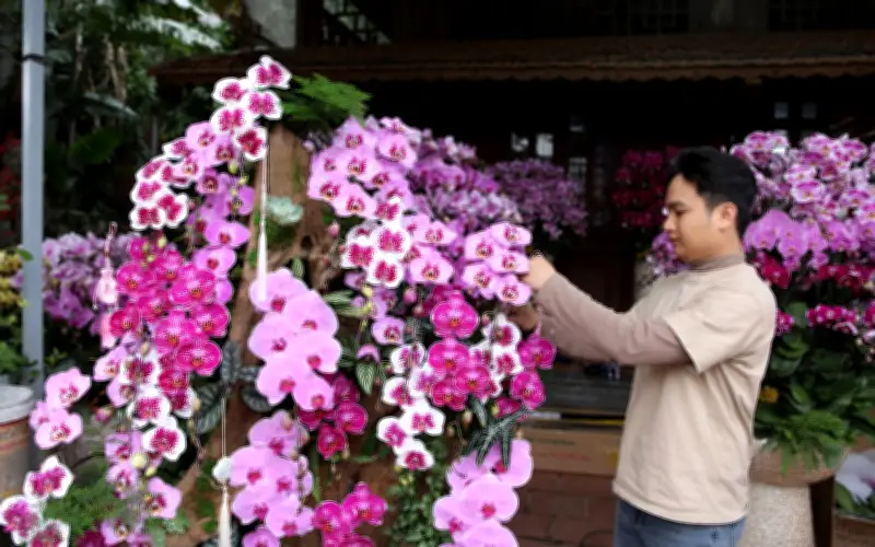 Hái ra tiền: Nghề cắm hoa Tết cao điểm, thu 4-5 triệu đồng/ngày