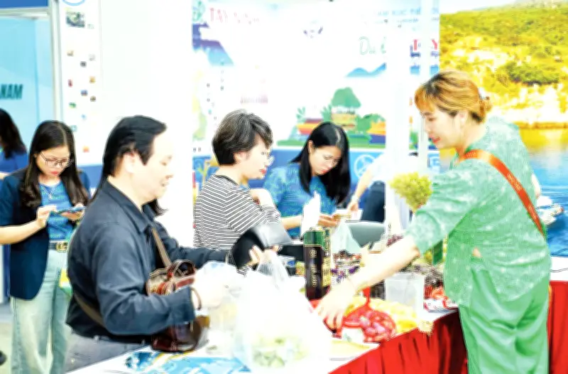 Hội Xuân Núi Bà Đen 2026: Bệ Phóng Du Lịch Tây Ninh Với Hương Sắc Đặc Trưng