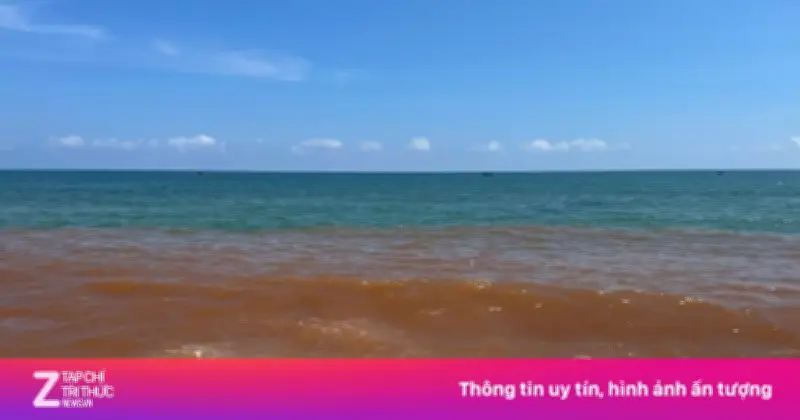 Hiện tượng nước biển Gia Lai chuyển màu nâu đỏ: Chuyên gia nghi ngờ thủy triều đỏ