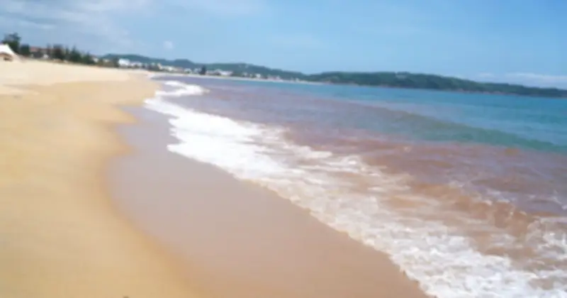 Hiện tượng nước biển đổi màu tại Gia Lai: Thủy triều đỏ hay do bùn đất?