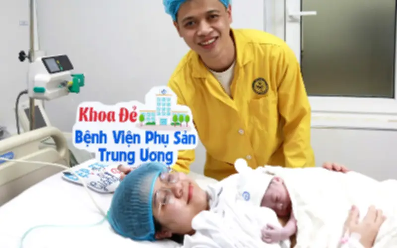 Hơn 2.000 Em Bé Chào Đời Ngày Mùng 2 Tết, Y Tế Ghi Nhận Nhiều Hoạt Động Điều Trị Và Hiến Máu