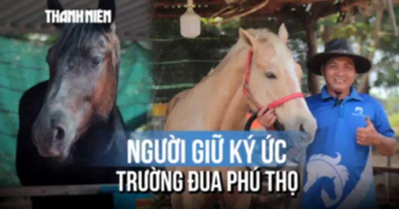 Hơn 40 năm gắn bó với ngựa: Người giữ ký ức trường đua Phú Thọ