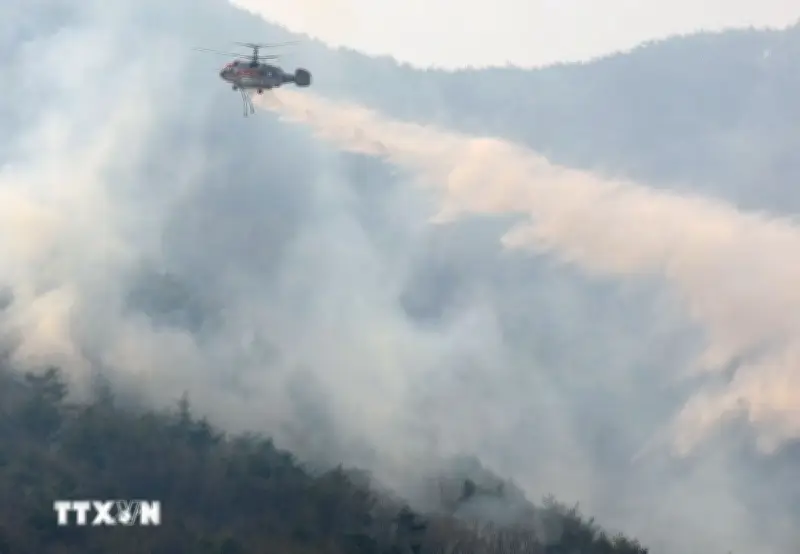 Hàn Quốc đối mặt với hàng loạt vụ cháy rừng liên tiếp tại nhiều địa phương
