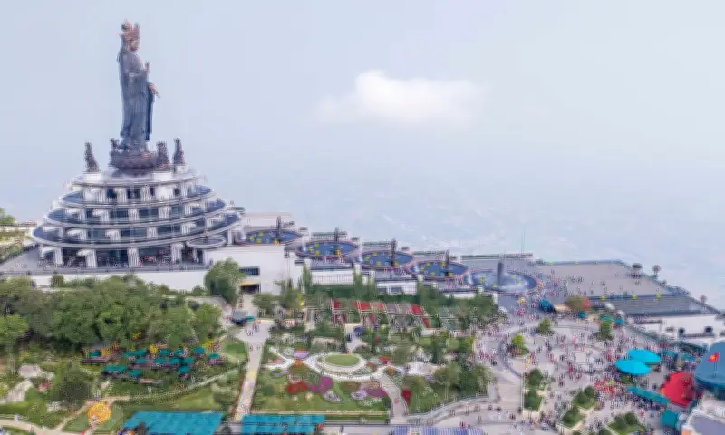 Hàng Nghìn Du Khách Đổ Về Hội Xuân Núi Bà Đen, Chiêm Ngưỡng Thảm Hoa Tulip Rực Rỡ